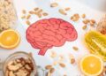 5 superalimentos claves para mejorar la salud del cerebro