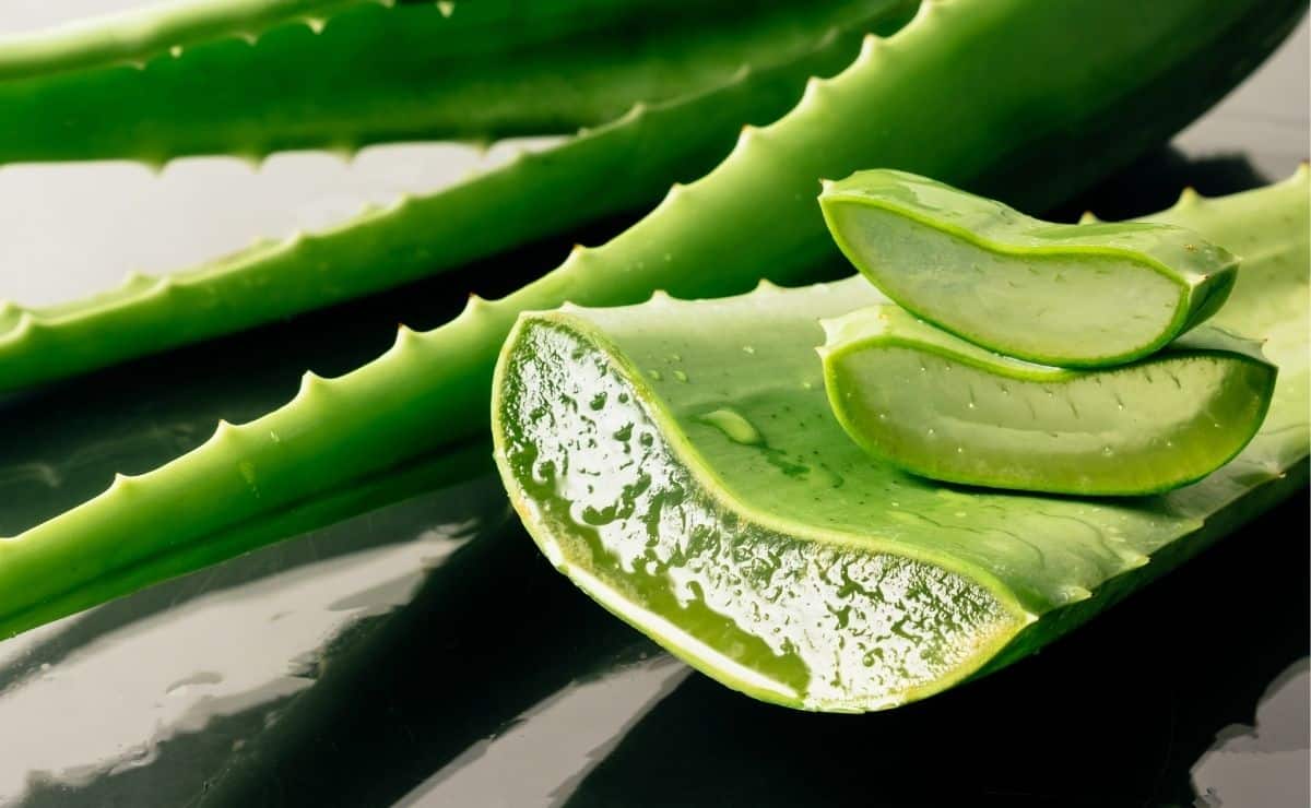 aloe vera belleza remedio trucos natural casero