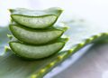 Problemas de comer aloe vera crudo./ Foto de Canva