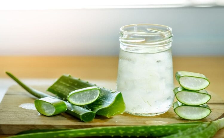 aloe vera desayuno