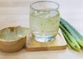 aloe vera ayunas alimento ayuno sábila hortaliza remedio natural agua té