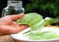 Remedios con aloe vera para el estreñimiento