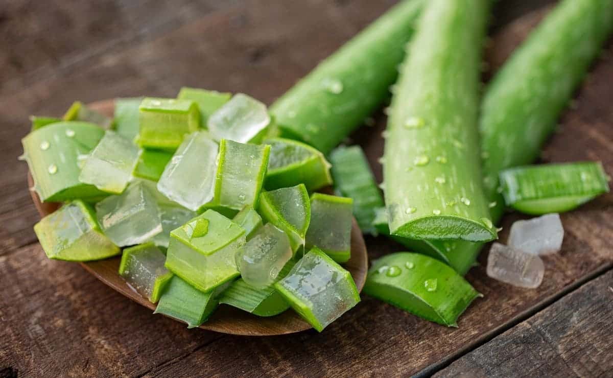 Remedios con aloe vera para el estreñimiento