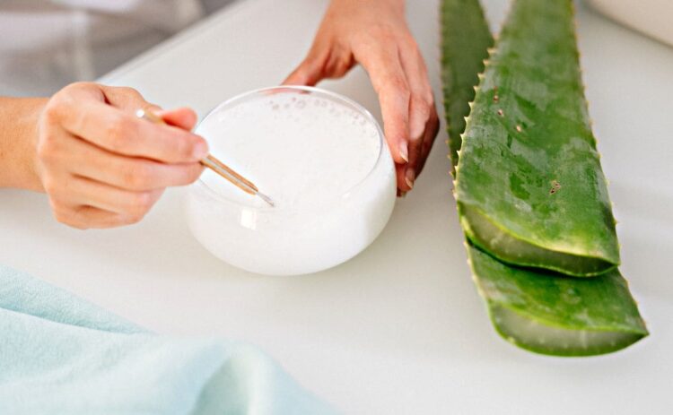 Qué hace el aloe vera en el pelo si lo usamos a diario