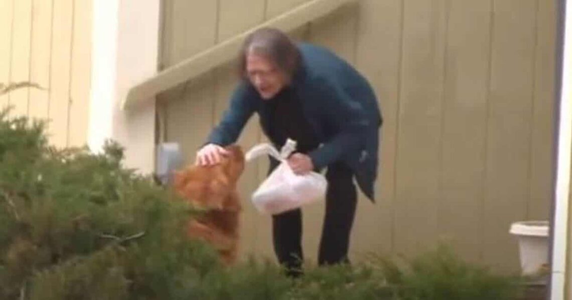 Anciana recibiendo la comida traída por el animal