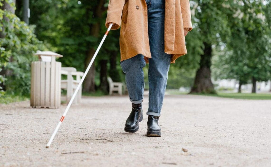 APASCIDE y el Centro del Buen Fin preparan un evento solidario en Sevilla