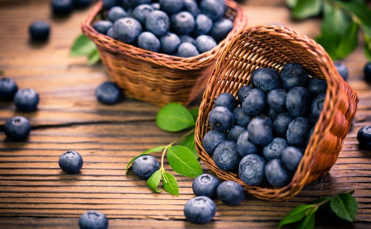 Los arándanos son ideales para mantener una buena salud cardiovascular