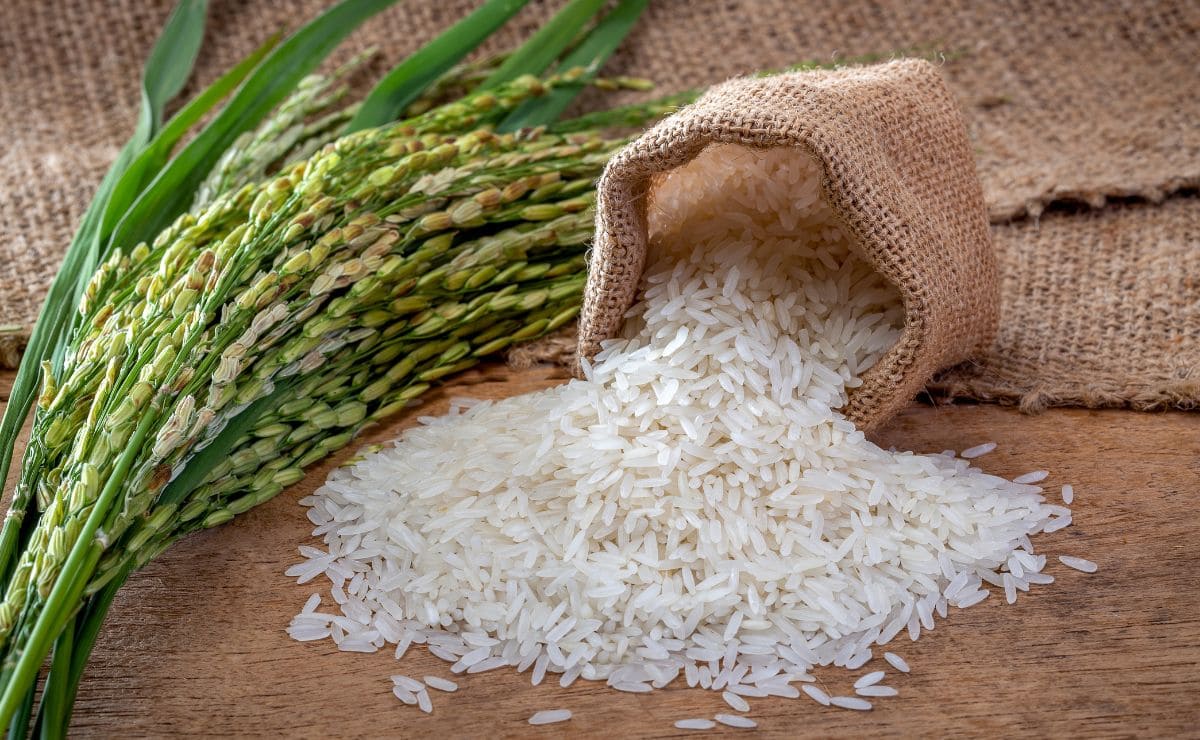 arroz consumo alimento dieta recomendación digestión fibra blanco