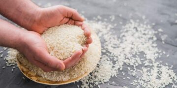 arroz consumo alimento dieta recomendación digestión fibra blanco