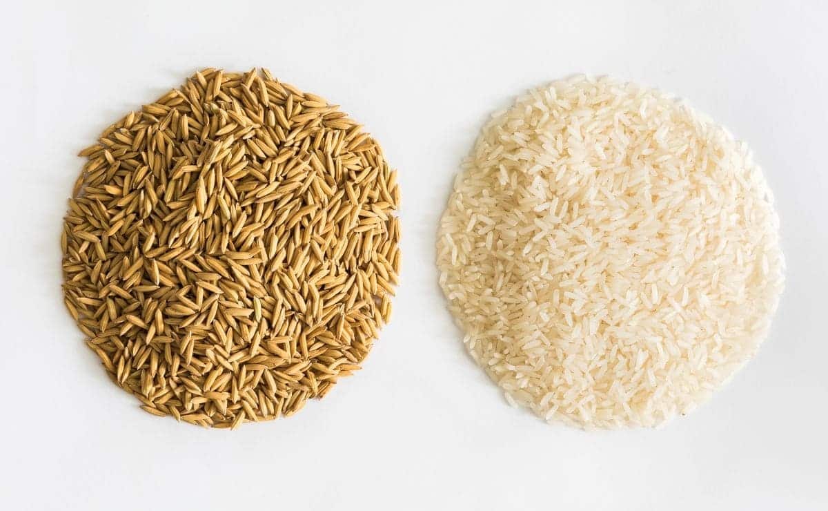 La mayor diferencia entre el arroz blanco y el integral es el procesamiento final