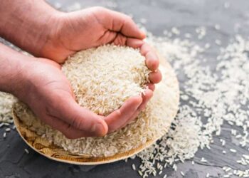 Cómo preparar arroz