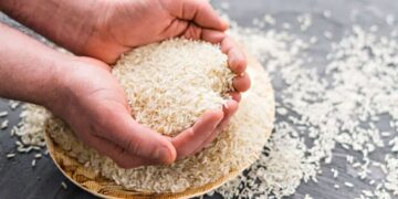 Cómo preparar arroz