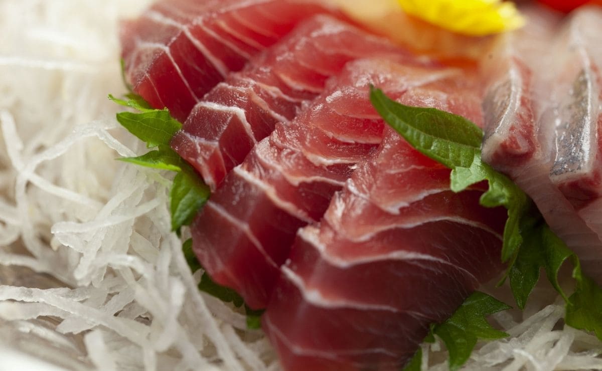 El atún es uno de los pescados más nutritivos para la salud