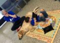 Niño con autismo junto a su nuevo compañero, un perro guía