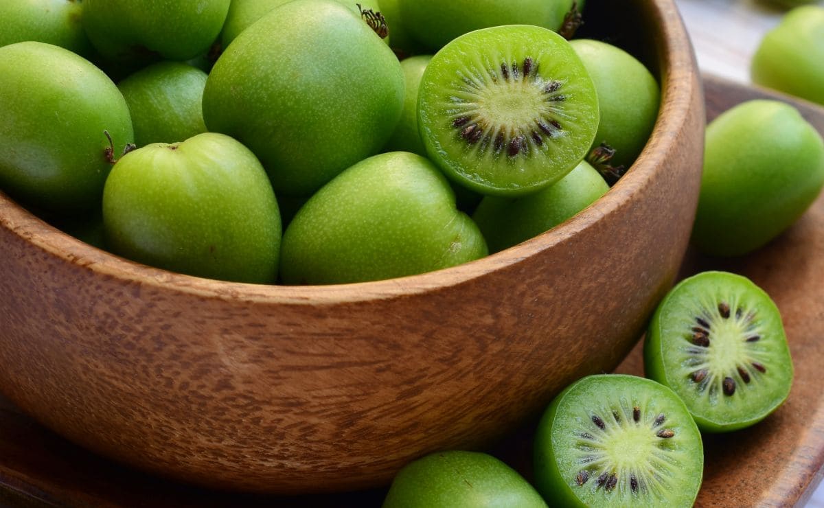 Variedades de kiwi