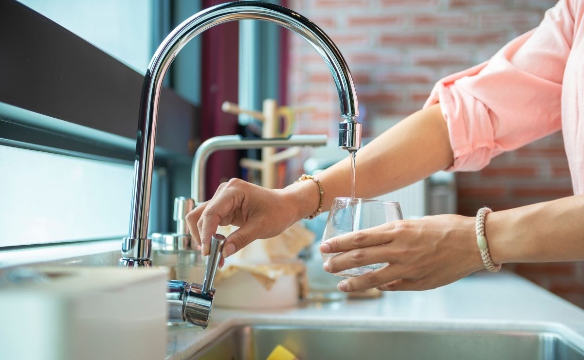 beber agua ayunas alimento líquido cuerpo organismo dieta