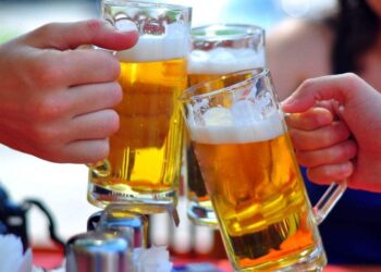 Beber cerveza