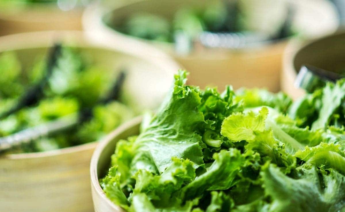 beneficios comer lechuga verduras
