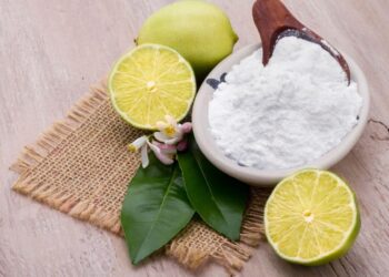 bicarbonato sodio limon alimento dieta salud organismo suplemento