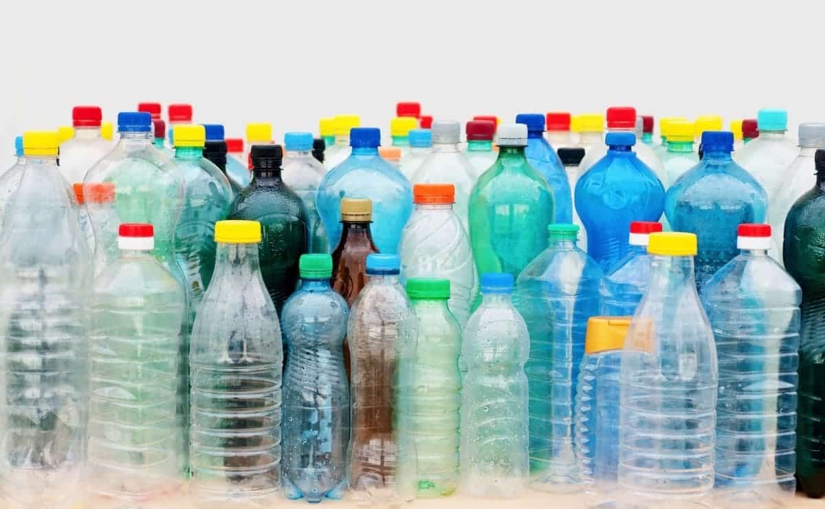 Botellas de plástico para cultivar lechugas