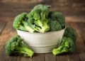 Brócoli, un gran superalimento