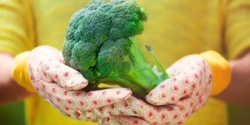 Así ayuda el brócoli a mejorar la salud de la visiónAsí ayuda el brócoli a mejorar la salud de la visión
