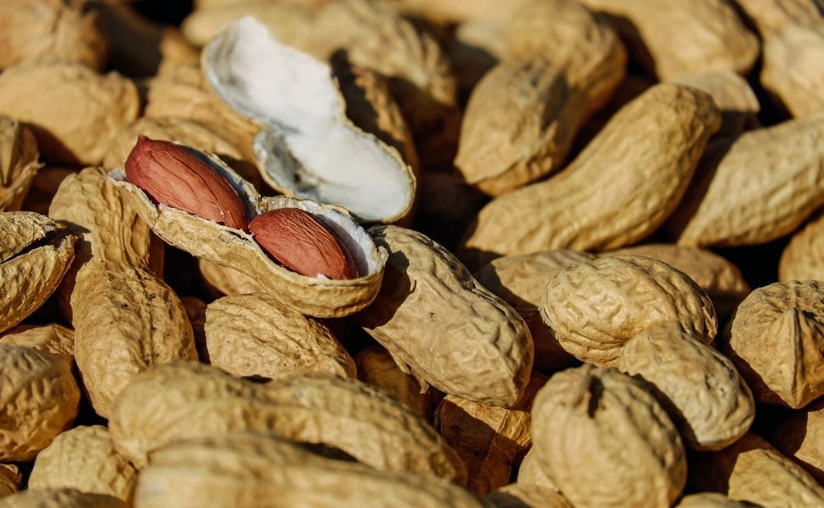Los cacahuetes pueden causar problemas digestivos y aumento de peso