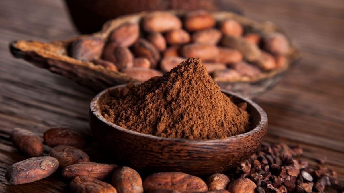 Cacao