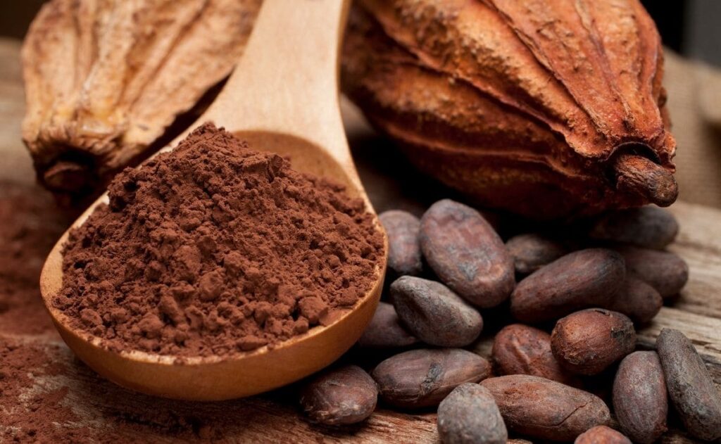 Alimentos ricos en minerales para mantener una buena salud