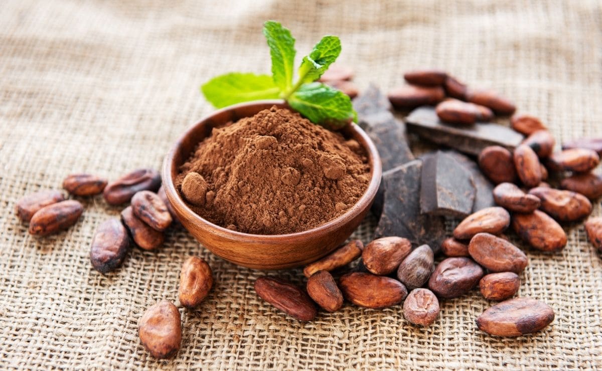 Cacao superalimento