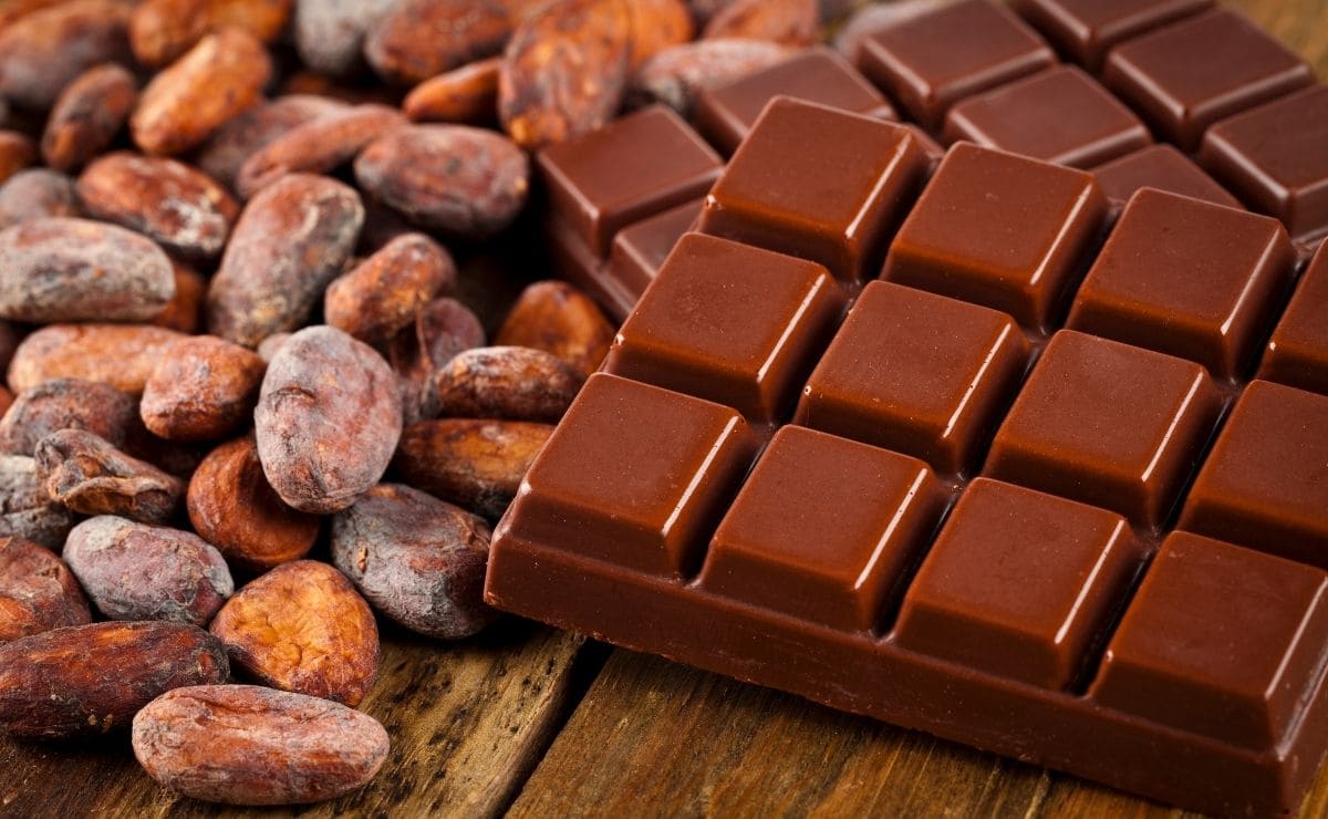 superalimento cacao