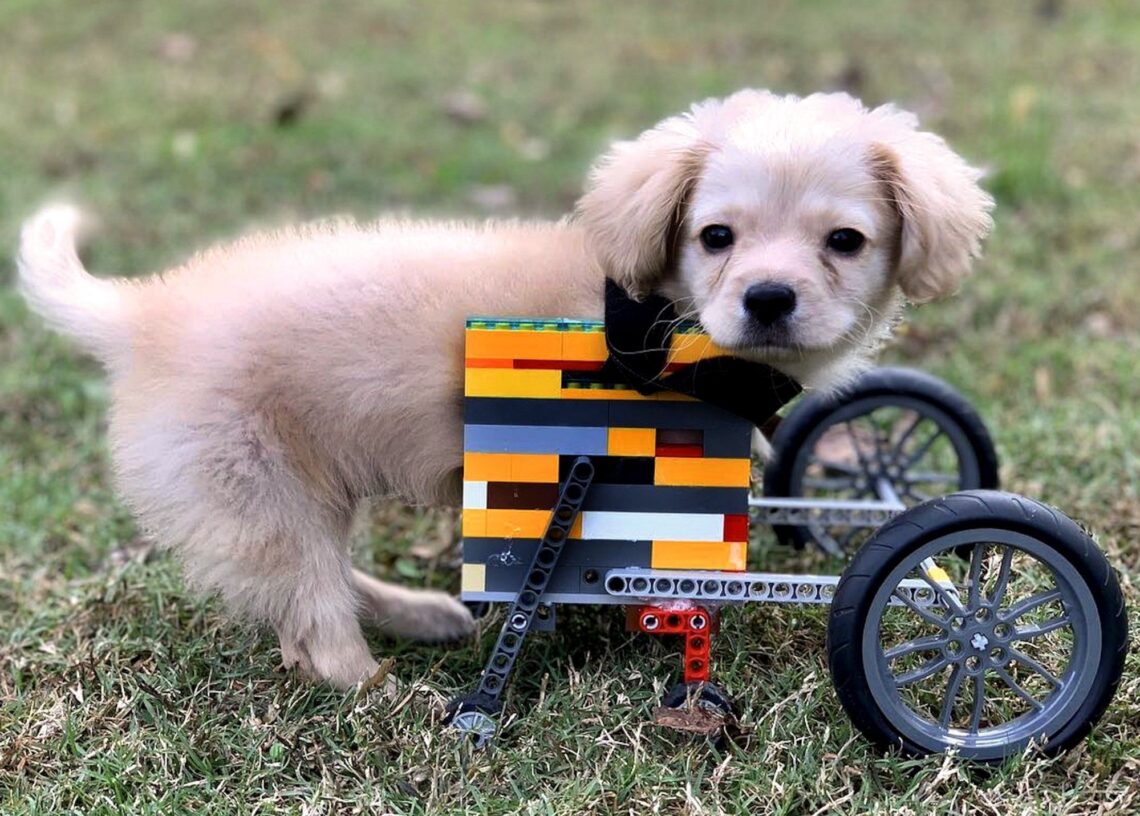 cachorro con silla de ruedas de LEGO