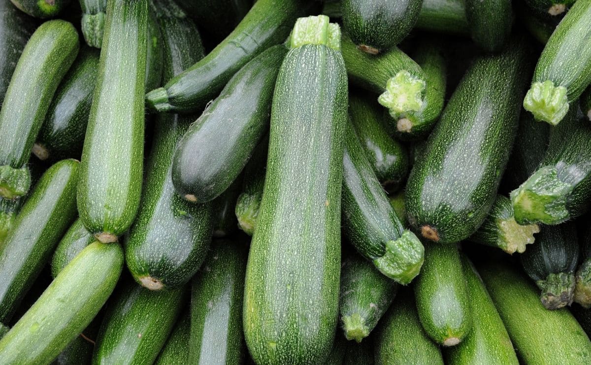 calabacín alimento cena salud