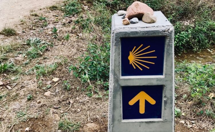 camino de santiago accesible accesibilidad