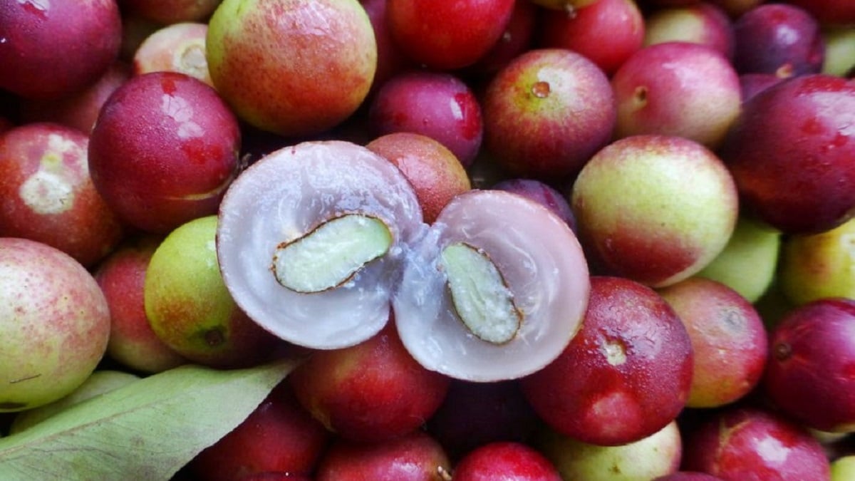 vitamina C camu camu