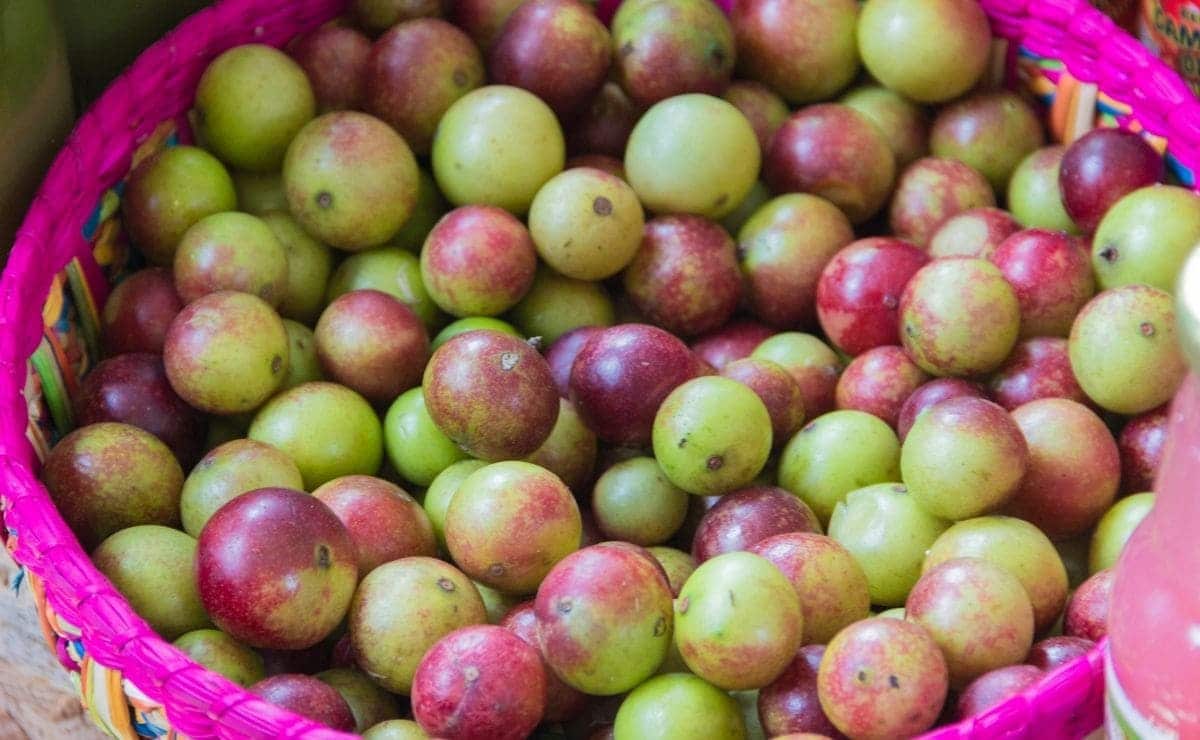 Camu camu vitamina C