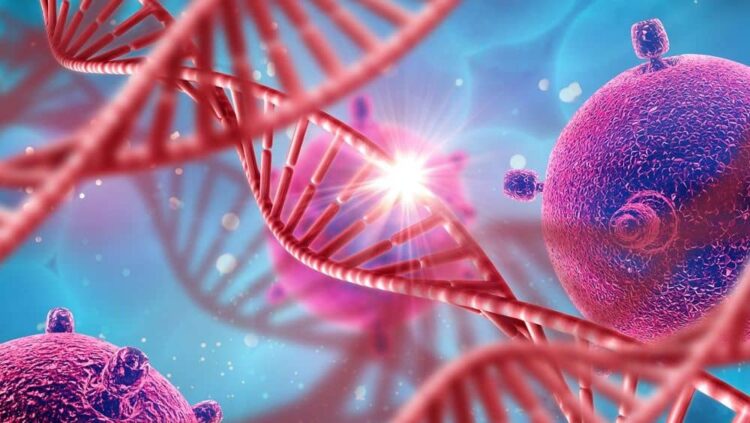 Un nuevo compuesto, encontrado por investigadores de Brasil, actúa contra las células tumorales del ovario sin afectar a los tejidos sanos
