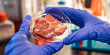 La OCU habla, por fin, de la carne artificial que podría vender Mercadona
