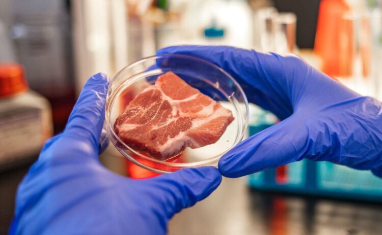 La OCU habla, por fin, de la carne artificial que podría vender Mercadona