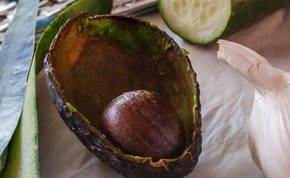 Cáscara aguacate