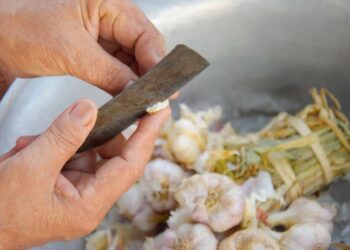 cáscara ajo alimento beneficios digestión fibra superalimento remedio