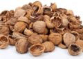 fruto seco cáscara nuez superalimento digestión alimento fruto seco