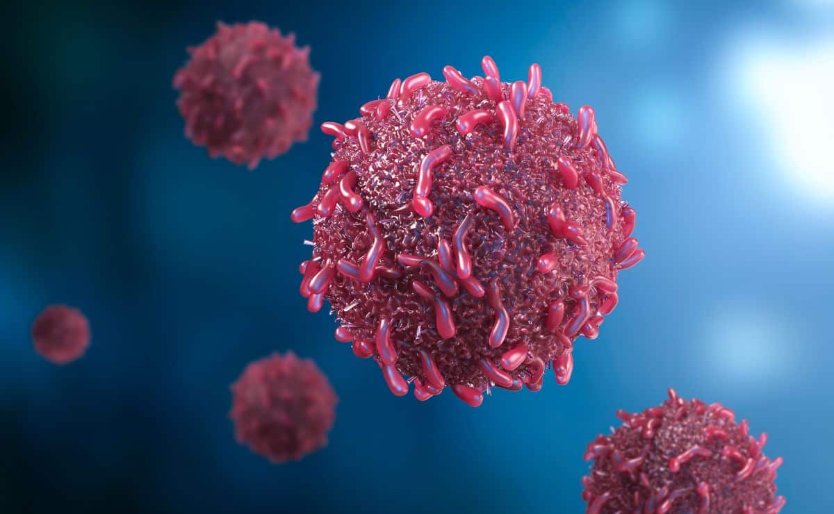 célula cáncer enfermedad celular tratamiento virus