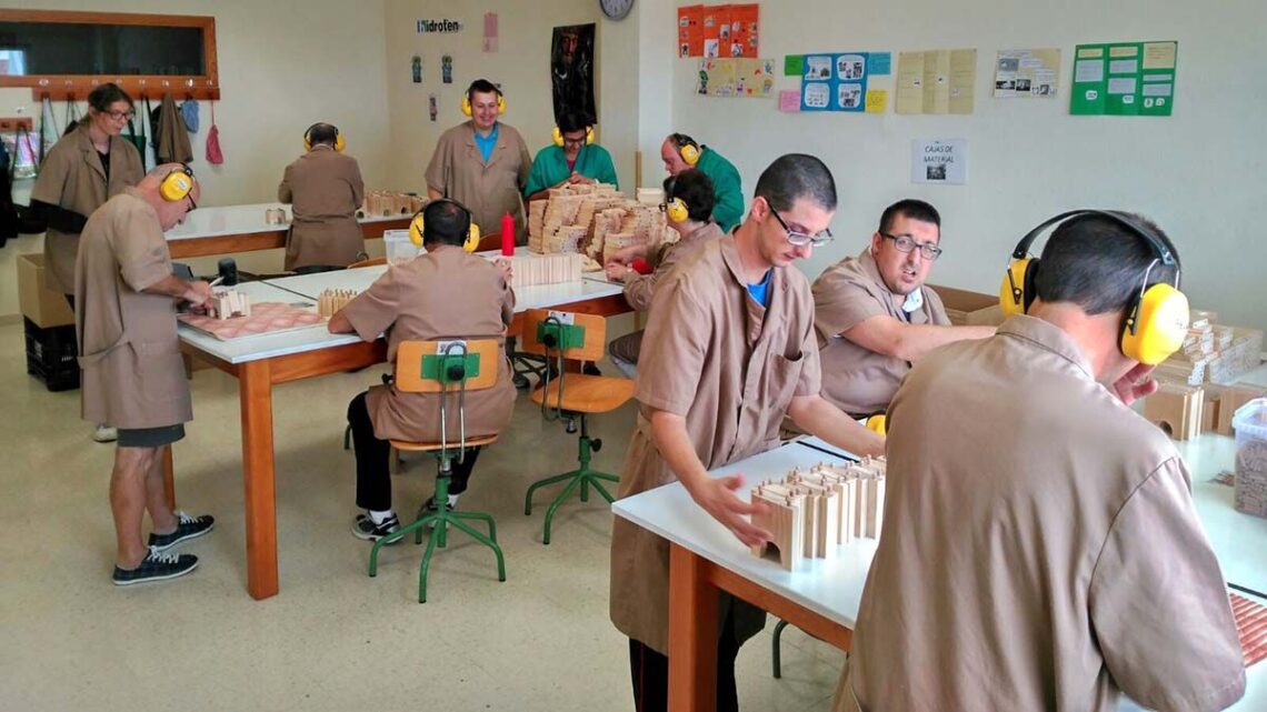 centro ocupacional para personas con discapacidad 1