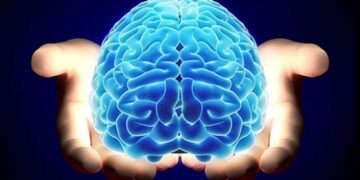 cerebro