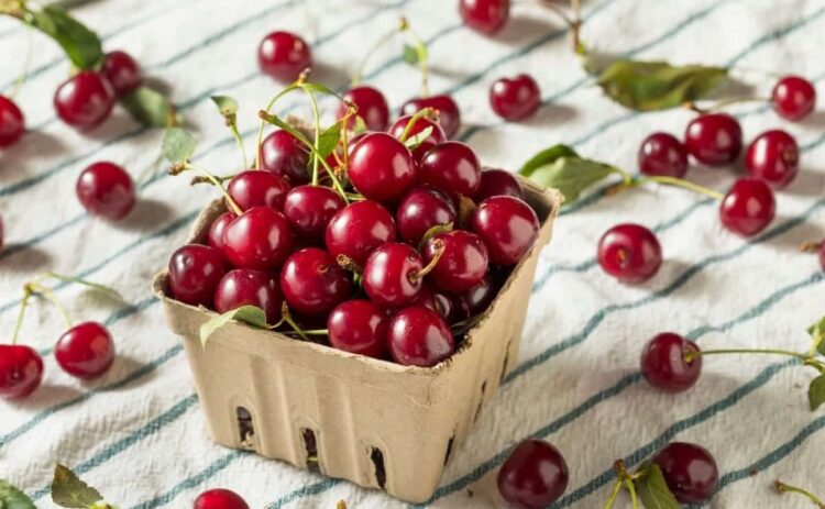 Cereza, un alimento idóneo para obtener energía