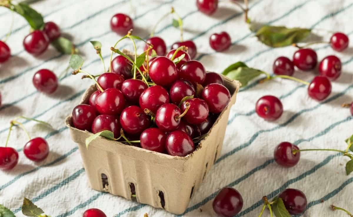 Las cerezas tienen antioxidantes naturales ideales para los músculos