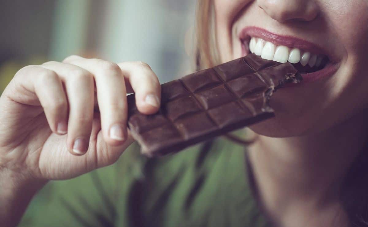 chocolate alimento harvard dulce azucar organismo universidad