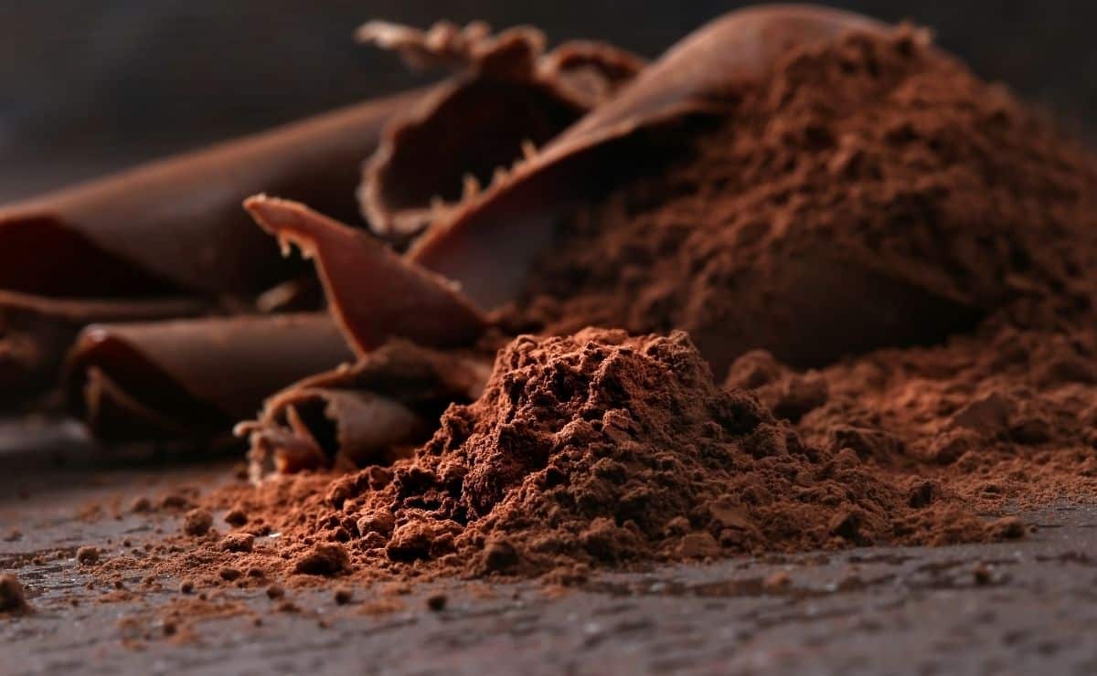 chocolate negro comer alimento cacao dieta tensión circulación sanguínea