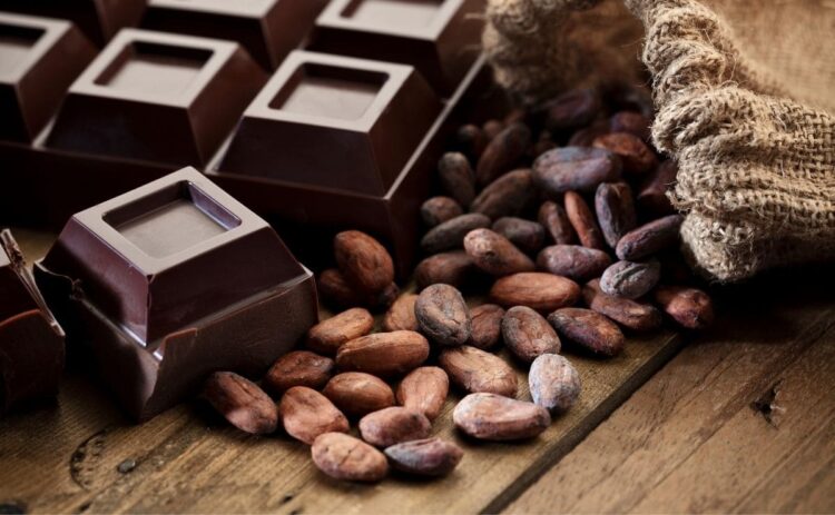 chocolate negro azúcar felicidad alimento microbiota flora intestinal